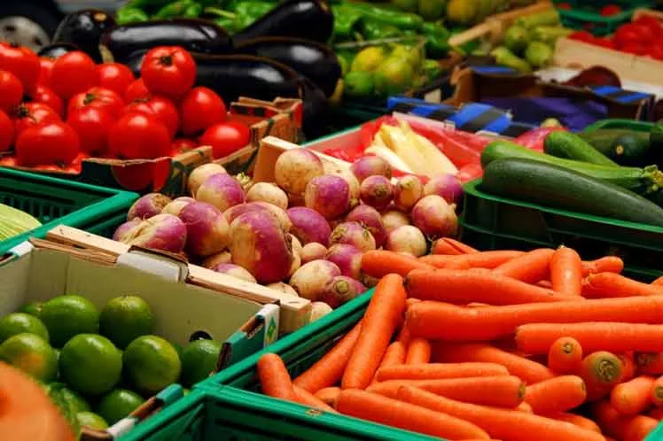 Latinoamerica con importante aporte a la seguridad alimentaria