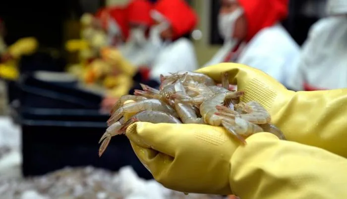 Las exportaciones de Ecuador cayeron 1,2 % hasta febrero de 2021, comparado con el año pasado