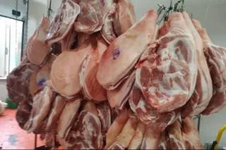 Argentina: Exportaciones porcinas limitadas por falta de capacidad de frío