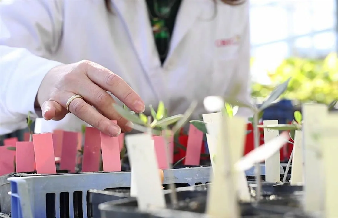 La investigación agropecuaria tendrá un mayor despegue en Ecuador