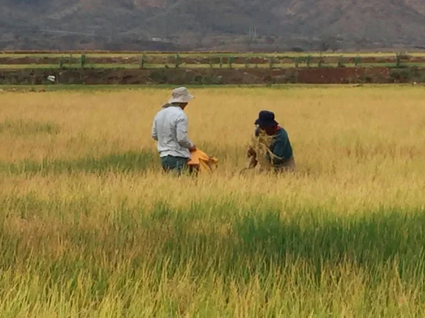 Ecuador: Hand in Hand ofrece información estratégica de territorios a Gobiernos Autónomos Descentralizados