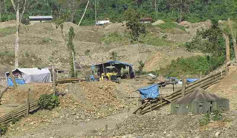 Colombia: Plantas hiperacumuladoras reducirían contaminación por minería