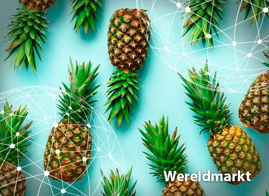 Resumen del mercado global de la piña