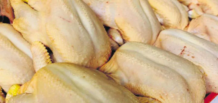 Carne aviar colombiana logra acceso al exigente mercado de Emiratos Árabes Unidos