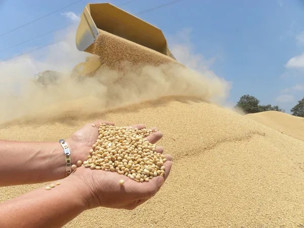 Brasil apunta a cosecha récord de soja en 2025/26 con 181 millones de toneladas
