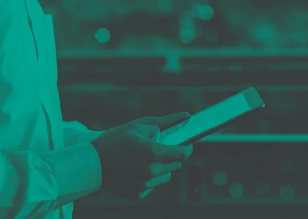 El comercio mundial de cebolla se pasa al formato digital