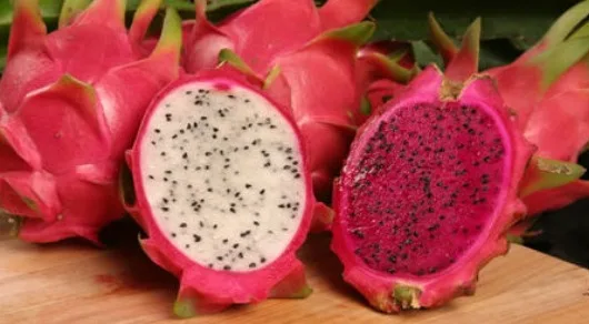 Ecuador: La pitahaya roja sigue ganando espacio en el mercado internacional