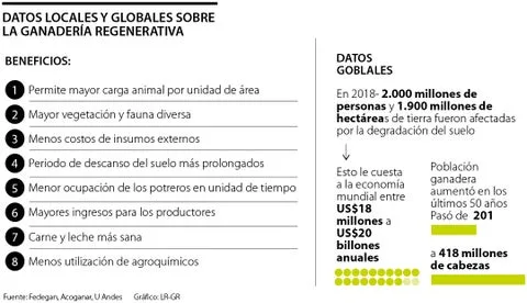 El uso de técnicas de ganadería regenerativa aumenta la rentabilidad de las ganancias
