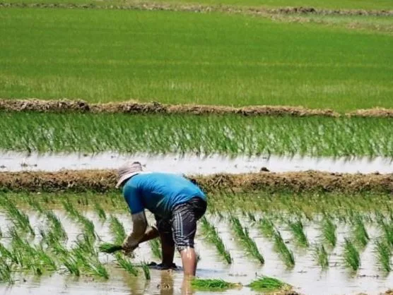 Ecuador ejecutará proyecto climático en 11 provincias