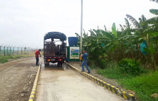 Con la unidad de los países se podrá hacer frente a la raza 4 en banano