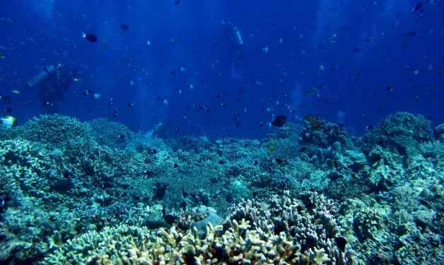 La CE propone impulsar una economía marítima con más metas ambientales