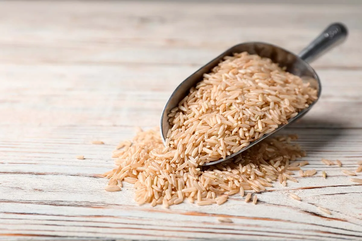 Colombia busca salidas a sus excedentes de arroz e iniciará comercialización de la gramínea integral