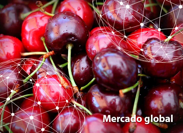 Resumen del mercado global de la cereza
