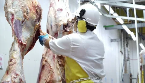Colombia: Exportaciones de carne de vacuno de Brasil a EE.UU. Suben por tensiones comerciales