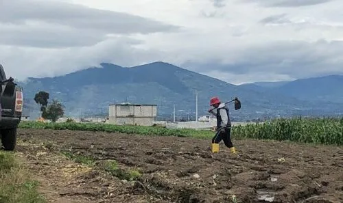 Ecuador: En Tungurahua agricultores venden sus terrenos para dedicarse a otras actividades