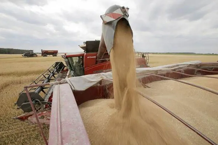 Perspectiva agrícola global 2021-2030 sujeta a evolución de pandemia