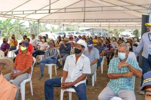 Ecuador: Agricultores de Los Ríos sufren por la caída del precio del arroz