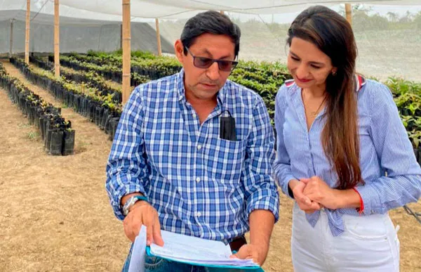 Analizan declarar a Santa Elena como la primera provincia en producción orgánica de Ecuador
