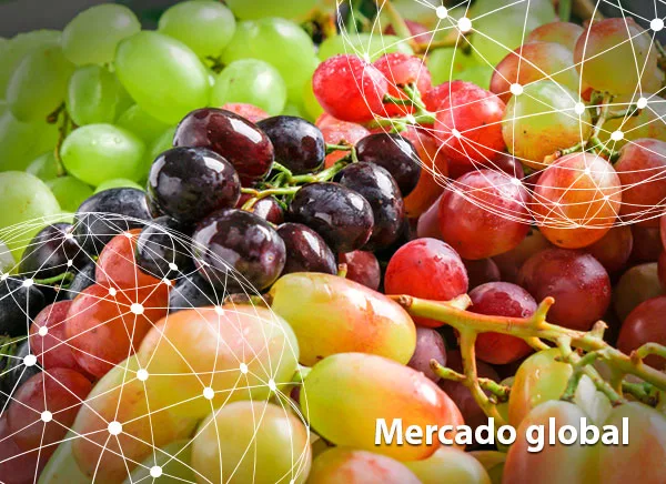 Resumen del mercado global de la uva