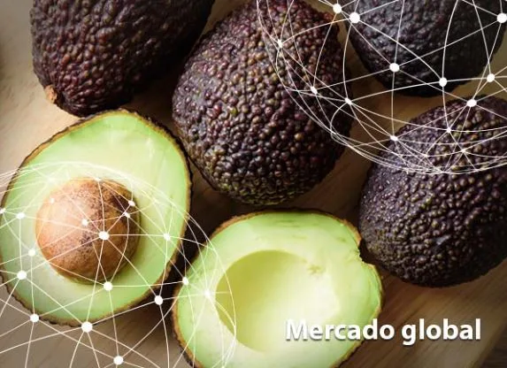 Resumen del mercado global del aguacate
