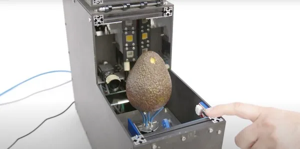 Lanzan un dispositivo que escanea la madurez de los aguacates en cuestión de segundos