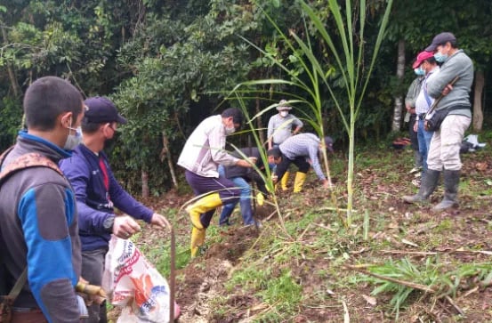Ecuador: En la Amazonía capacitan a productores en ganadería sostenible libre de deforestación