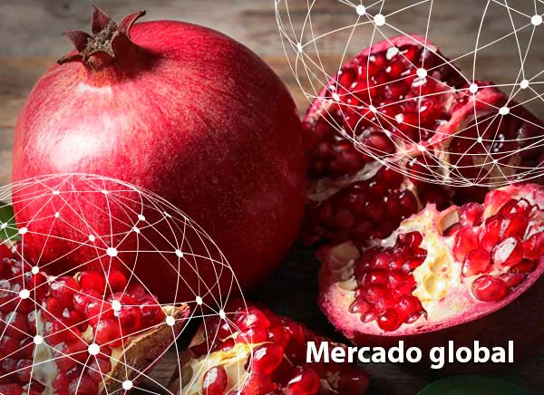 Resumen del mercado global de la granada