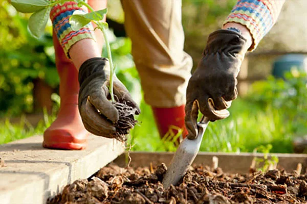Guayaquil abre un espacio para la jardinería y decoración de exteriores