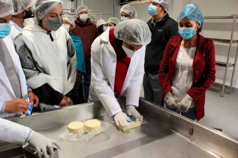 Ecuador: 180 familias de Guano dan valor agregado a la leche