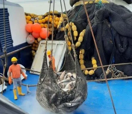 La NOAA certificó positivamente al sector pesquero ecuatoriano