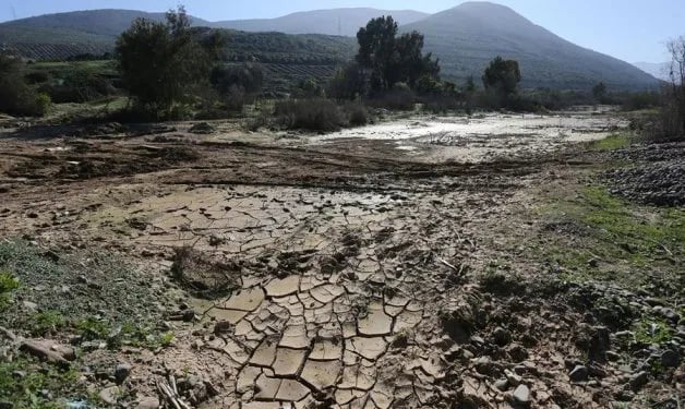 Chile decreta “emergencia agrícola” por escasez hídrica en cuatro regiones