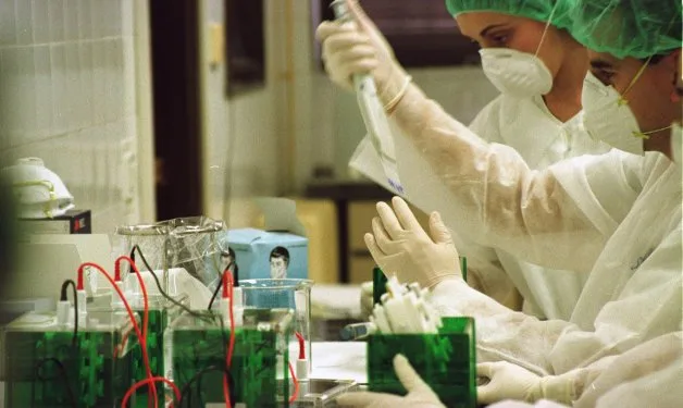 Nuevas pautas en la UE sobre el control de los medicamentos veterinarios