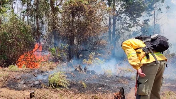 Ecuador: En Loja un incendio en Quilanga consume 70 hectáreas