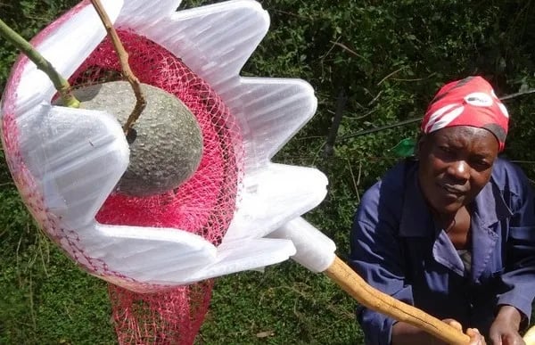 Herramientas asequibles imprimidas en 3D para los agricultores africanos