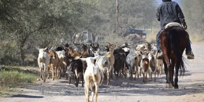 Poco saben del campo las “nuevas” generaciones