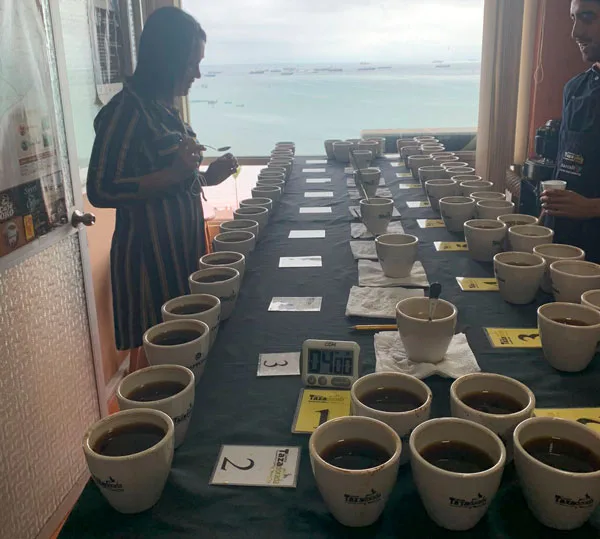 ANECAFÉ prepara proyecto Finca Total para presentar al gobierno, al demostrar en taza dorada el potencial cafetalero del país