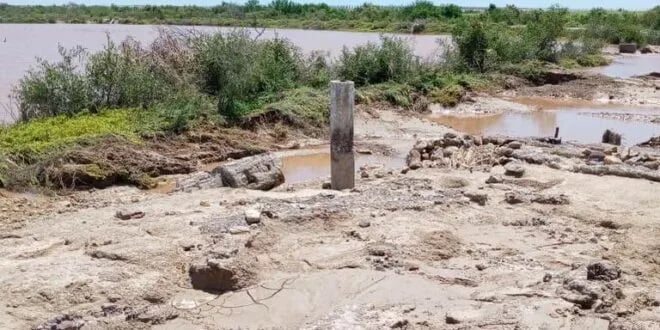 México: Tras el paso de “Nora”, buscan mecanismos para reactivar la acuacultura en Elota