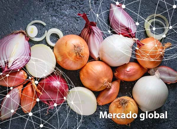 Resumen del mercado global de la cebolla