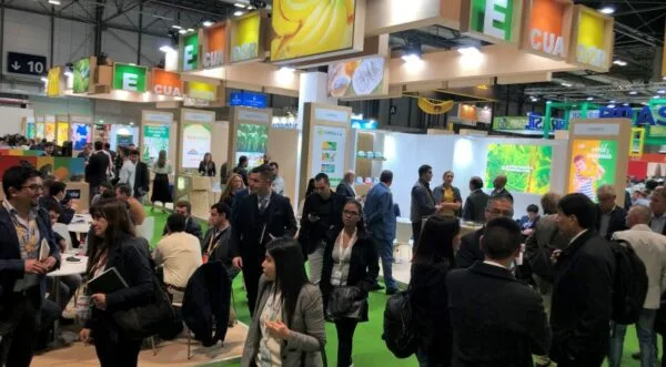 Fruit Attraction 2021 será una nueva vitrina para el banano ecuatoriano