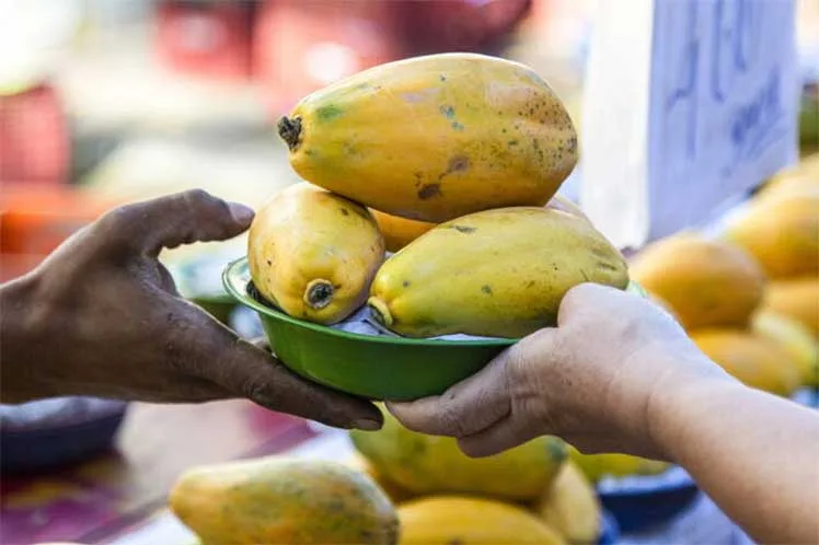 Alertan sobre por ciento negativo de ayudas a la agricultura