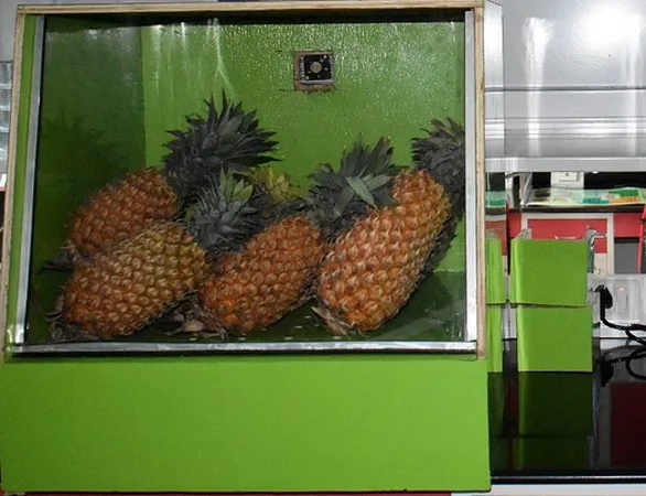 Una innovación de bajo coste amplía hasta diez días la vida útil de frutas y hortalizas