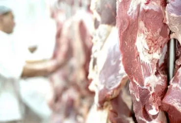 Paraguay superó en septiembre su récord anual de exportación de carne bovina