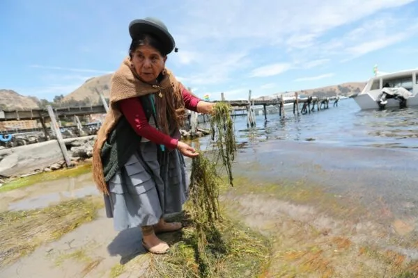 Bolivia: Mujeres indígenas luchan Por la conservación del Titicaca
