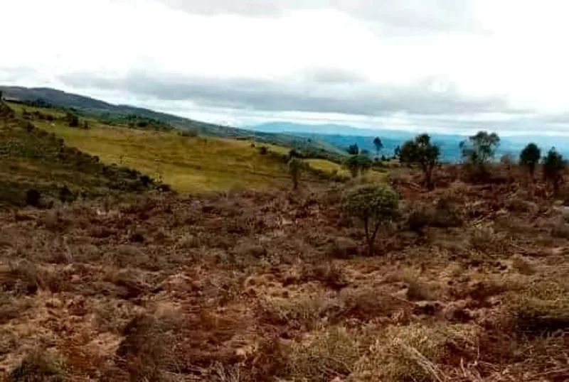 Ecuador: Terrenos agrícolas ponen en peligro los páramos de Tulcán