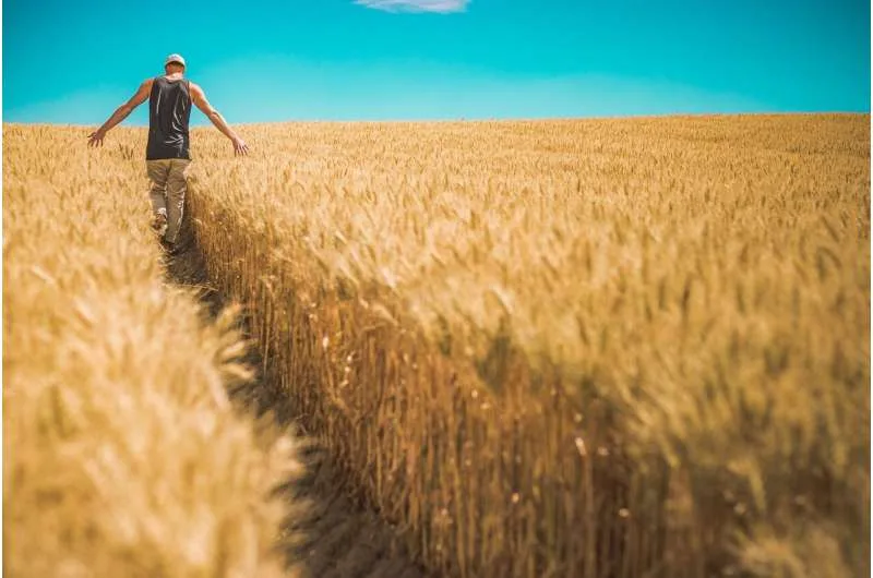 Reino unido permite el desarrollo de cultivos editados genéticamente en la lucha climática