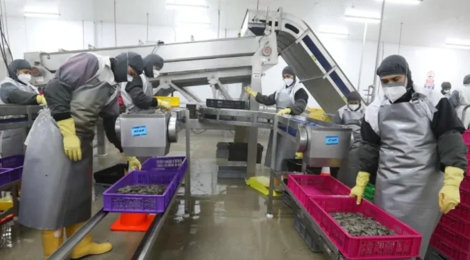 Ecuador: Cadenas agrícolas y acuícolas de exportación rechazan creación de más impuestos y piden excluir a tierras rurales del impuesto al patrimonio