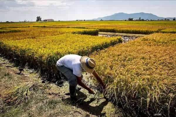 Ecuador Presenta Rutas de Acción Sectorial para Enfrentar el Cambio Climático