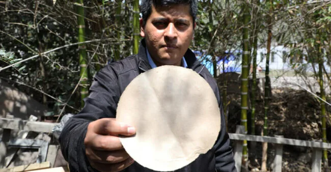 Investigadores elaboran envolturas para alimentos con fibras de bambú