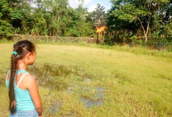 Reducir emisiones de gas metano hasta 2030, nuevo compromiso de Ecuador en la COP26