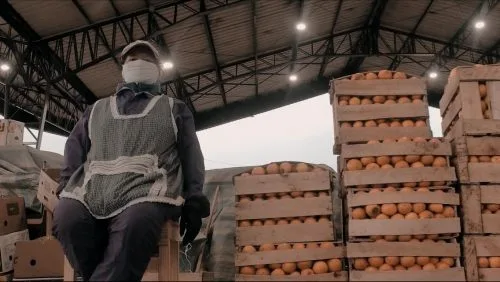Ecuador: Más de 50 puestos vacantes en el Mayorista de Ambato